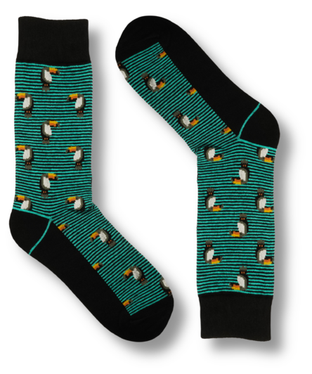 Parrots Socks