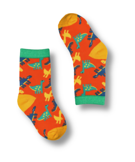 Dinos Kids Socks